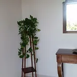 Bed and Breakfast Casa Carolina Σορέντο