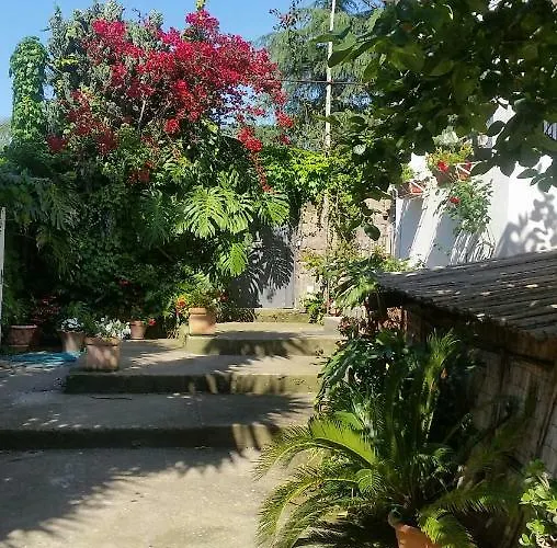 Casa Carolina 3*