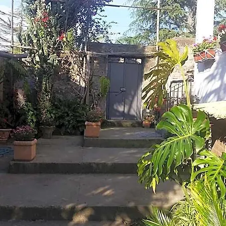 Oda ve Kahvaltı Casa Carolina 3*