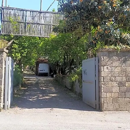 Casa Carolina Bed & Breakfast