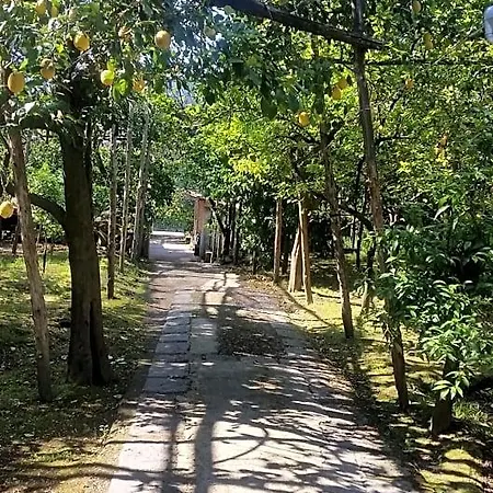 Oda ve Kahvaltı Casa Carolina 3*