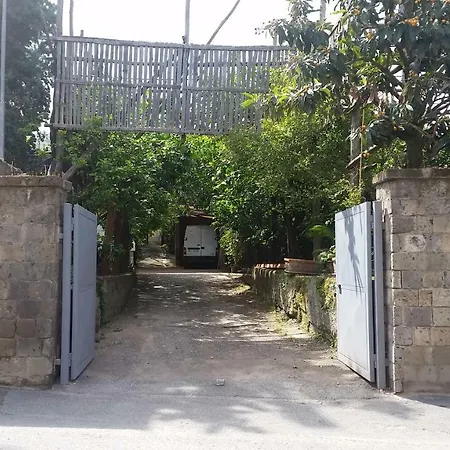 Casa Carolina 3*