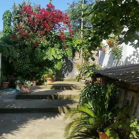 Casa Carolina 3*