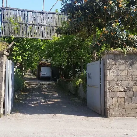 Alojamento de Acomodação e Pequeno-almoço Casa Carolina Sorrento