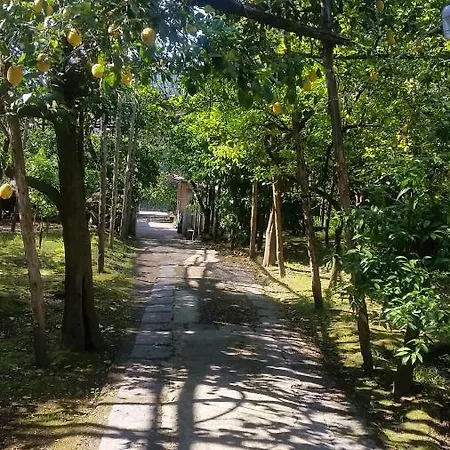 Alojamento de Acomodação e Pequeno-almoço Casa Carolina Sorrento