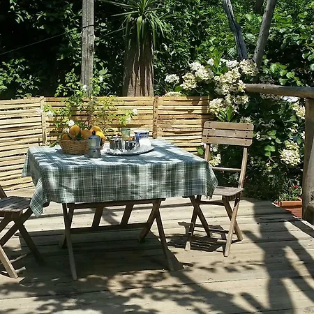 Casa Carolina Bed & Breakfast *