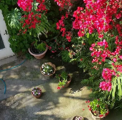 Nocleg ze śniadaniem Casa Carolina 3*