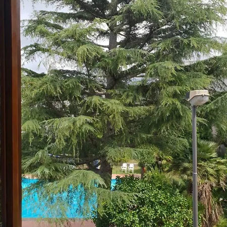 卡罗莱纳住宿加早餐旅馆