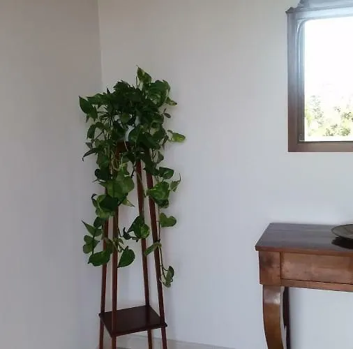 فندق مبيت وإفطار Casa Carolina سورينتو